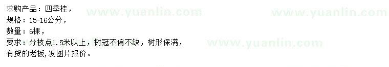求購15-16公分四季桂