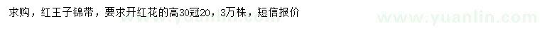 求購高30公分紅王子錦帶