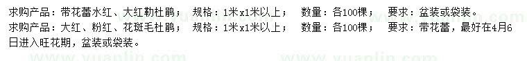 求購1米勒杜鵑、毛杜鵑