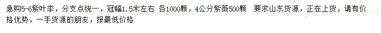 求購5-6公分紫葉李、4公分紫薇