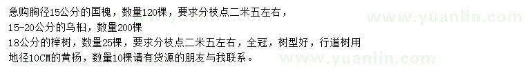 求購國槐、烏桕、櫸樹(shù)等