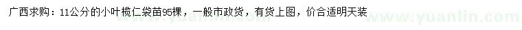 求購11公分小葉欖仁