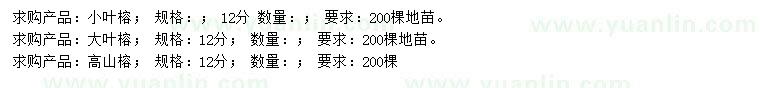 求購小葉榕、大葉榕、高山榕