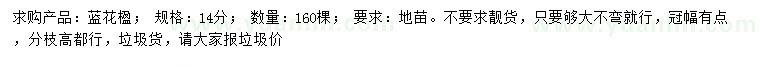 求購14公分藍花楹