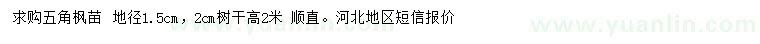 求購地徑1.5公分五角楓