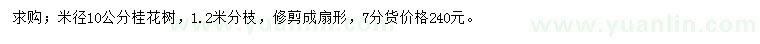 求購米徑10公分桂花樹(shù)