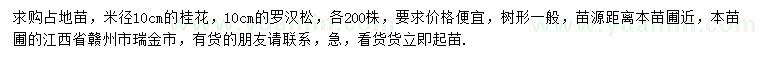求購米徑10公分桂花、羅漢松