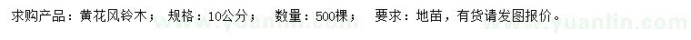 求購10公分黃花風(fēng)鈴木