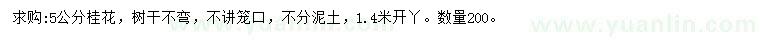 求購5公分桂花