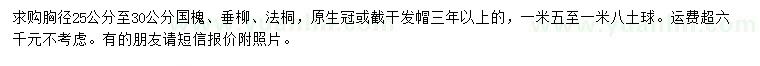 求購國槐、垂柳、法桐