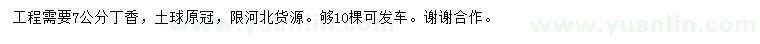 求購7公分丁香