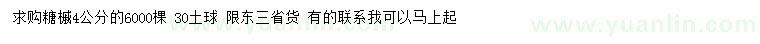 求購4公分糖槭