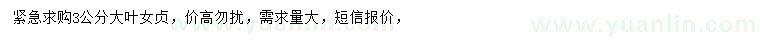 求購3公分大葉女貞