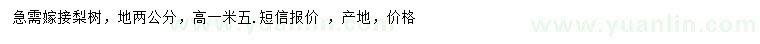 求購地徑2公分嫁接梨樹(shù)