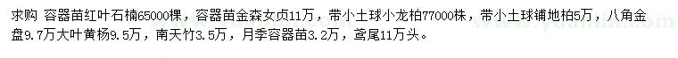求購紅葉石楠、金森女貞、鋪地柏等
