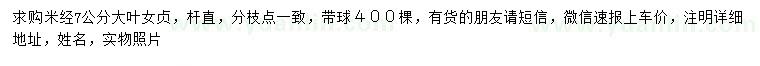 求購米徑7公分大葉女貞