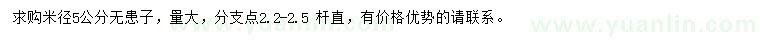 求購(gòu)米徑5公分無患子