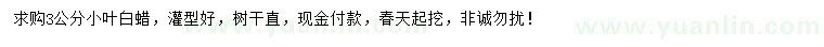 求購3公分小葉白蠟