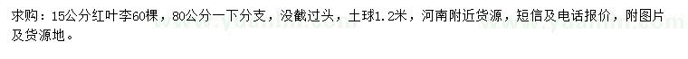 求購15公分紅葉李