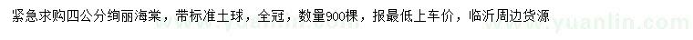 求購(gòu)4公分絢麗海棠