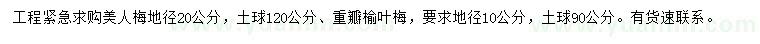 求購地徑20公分美人梅、10公分重瓣榆葉梅