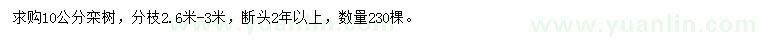 求購10公分欒樹(shù)