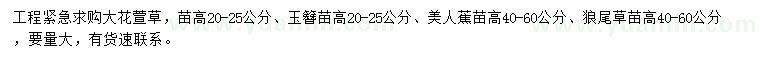 求購大花萱草、玉簪、美人蕉等