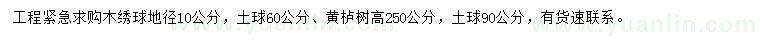 求購地徑10公分木繡球、黃櫨