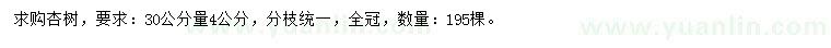 求購30公分量4公分杏樹