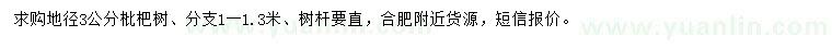 求購地徑3公分枇杷樹