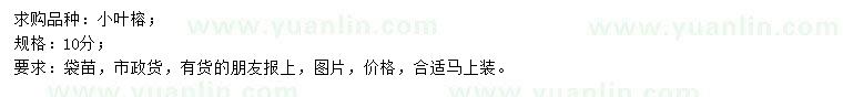 求購10公分小葉榕