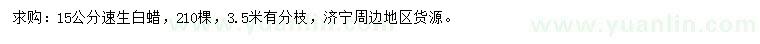 求購15公分速生白蠟