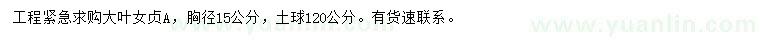求購胸徑15公分大葉女貞