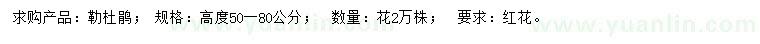 求購高50-80公分勒杜鵑