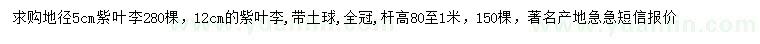 求購地徑5、12公分紫葉李