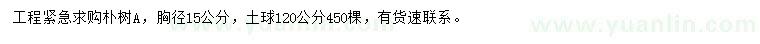 求購胸徑15公分樸樹