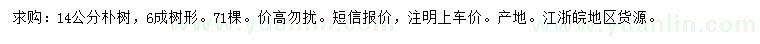 求購14公分樸樹(shù)