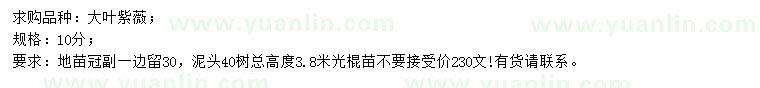 求購10公分大葉紫薇