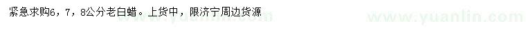 求購(gòu)6、7、8公分老白蠟