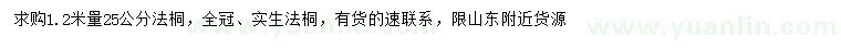 求購1.2米量25公分法桐