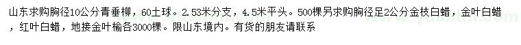求購青垂柳、金枝白蠟、金葉白蠟等
