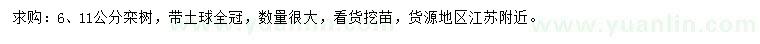 求購(gòu)6、11公分欒樹