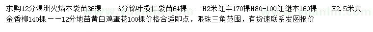 求購澳洲火焰木、錦葉欖仁、紅車等
