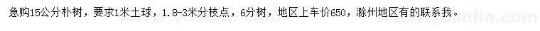 求購15公分樸樹