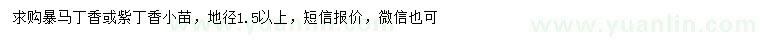求購(gòu)地徑1.5公分以上暴馬丁香、紫丁香