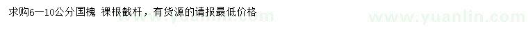 求購6-10公分國槐