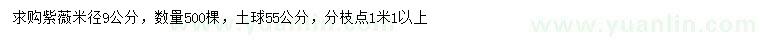 求購(gòu)米徑9公分紫薇