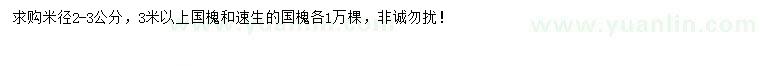 求購米徑2-3公分國(guó)槐