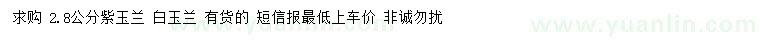 求購2.8公分紫玉蘭、白玉蘭