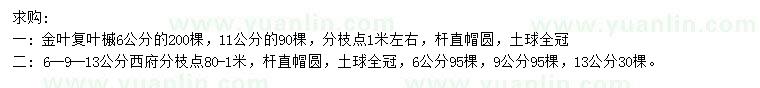 求購(gòu)6、11公分金葉復(fù)葉槭、6、9、13公分西府海棠